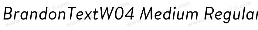 BrandonTextW04 Medium Regular字体转换